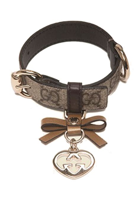 gucci halsband hund|gucci pet collection.